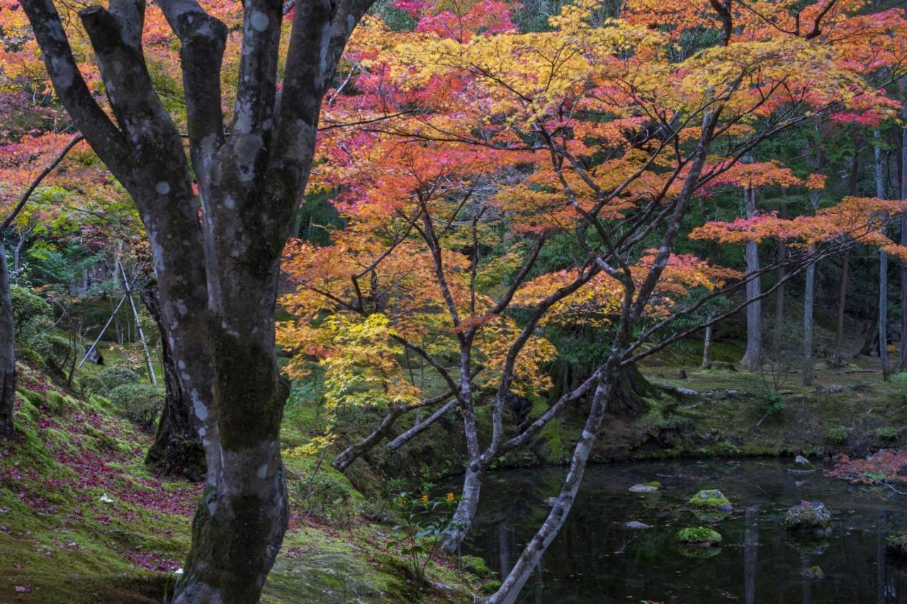 Hotel Arrows Arashiyama Кіото Екстер'єр фото